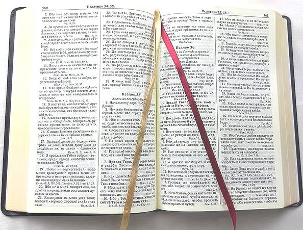 Библия Геце. Goetze Study Bible