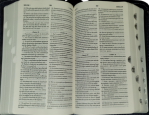 English - Russian Parallel Bible (KJV), Blue-grey, Compact - Англо-Русская Параллельная Библия Авторизованная версия KJV- Синодальное издание, сине-серый, компактный формат