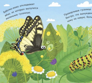 Как рождается бабочка? Моя первая энциклопедия. Книжка-раскладушка