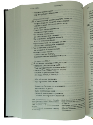 Библия. Современный русский перевод. Учебное издание