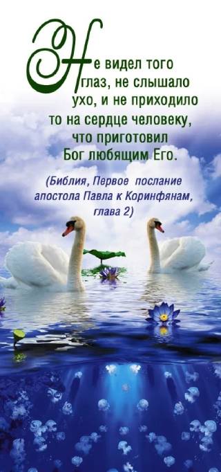 Закладка двойная на магните " Не видел того глаз..."
