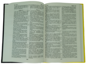 ENGLISH-RUSSIAN PARALLEL NEW TESTAMENT (NASB) / АНГЛО-РУССКИЙ ПАРАЛЛЕЛЬНЫЙ НОВЫЙ ЗАВЕТ. СИНОДАЛЬНЫЙ ПЕРЕВОД