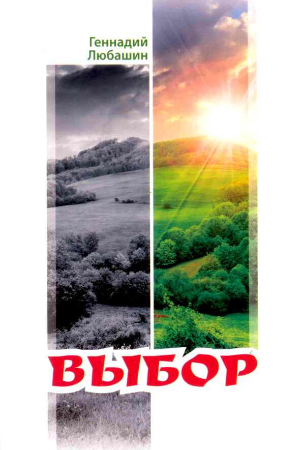 Выбор