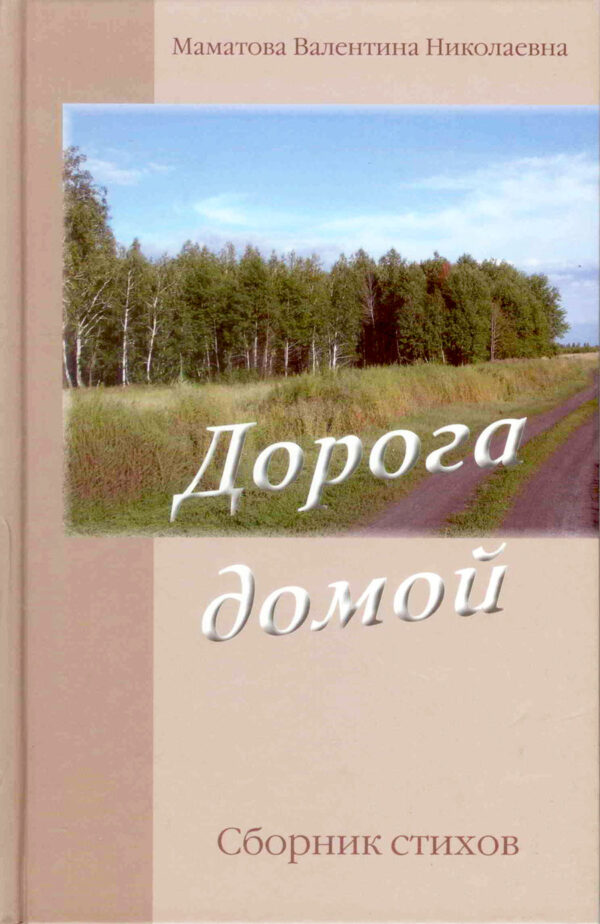 Дорога домой