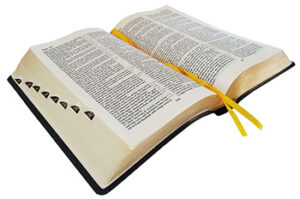 English-Russian Parallel Bible (NASB ) / Англо-Русская Параллельная Библия (Aqua) 6x9x2 inches